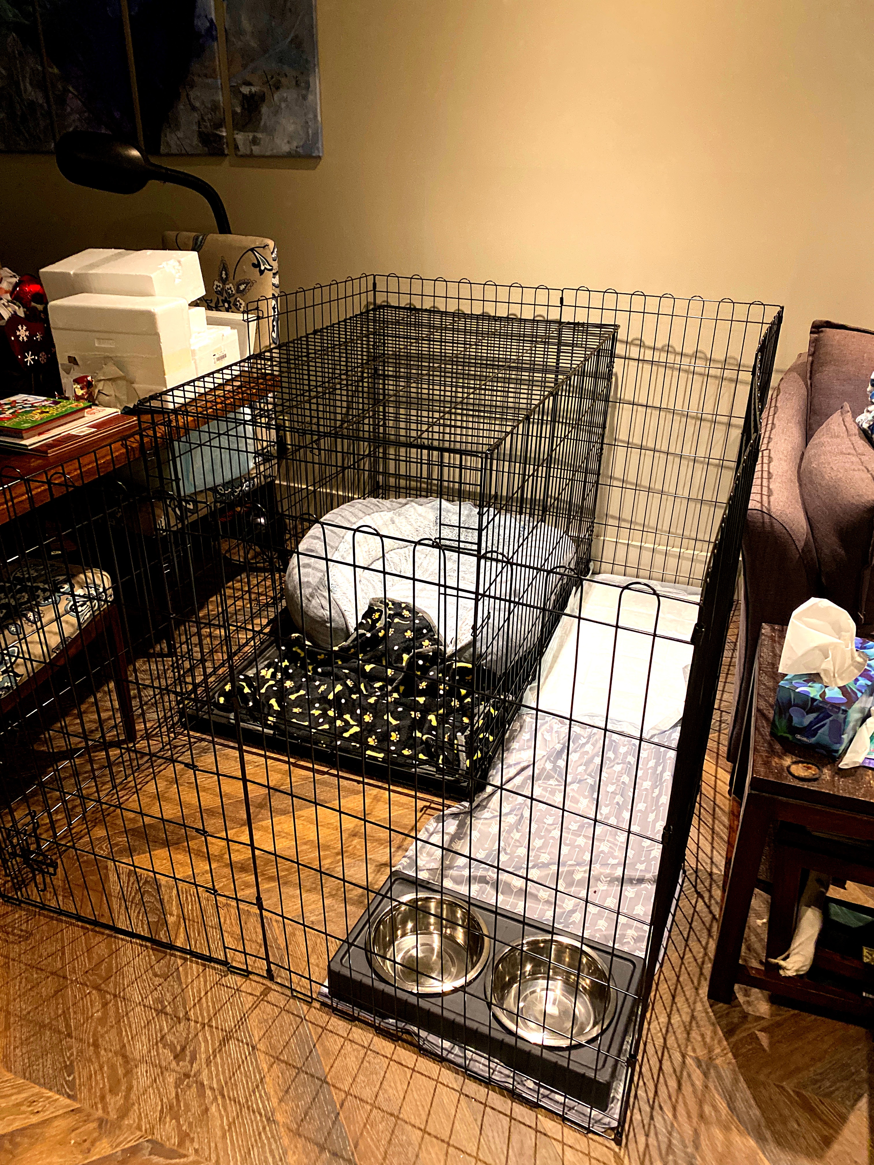 Crate and play area for a puppy