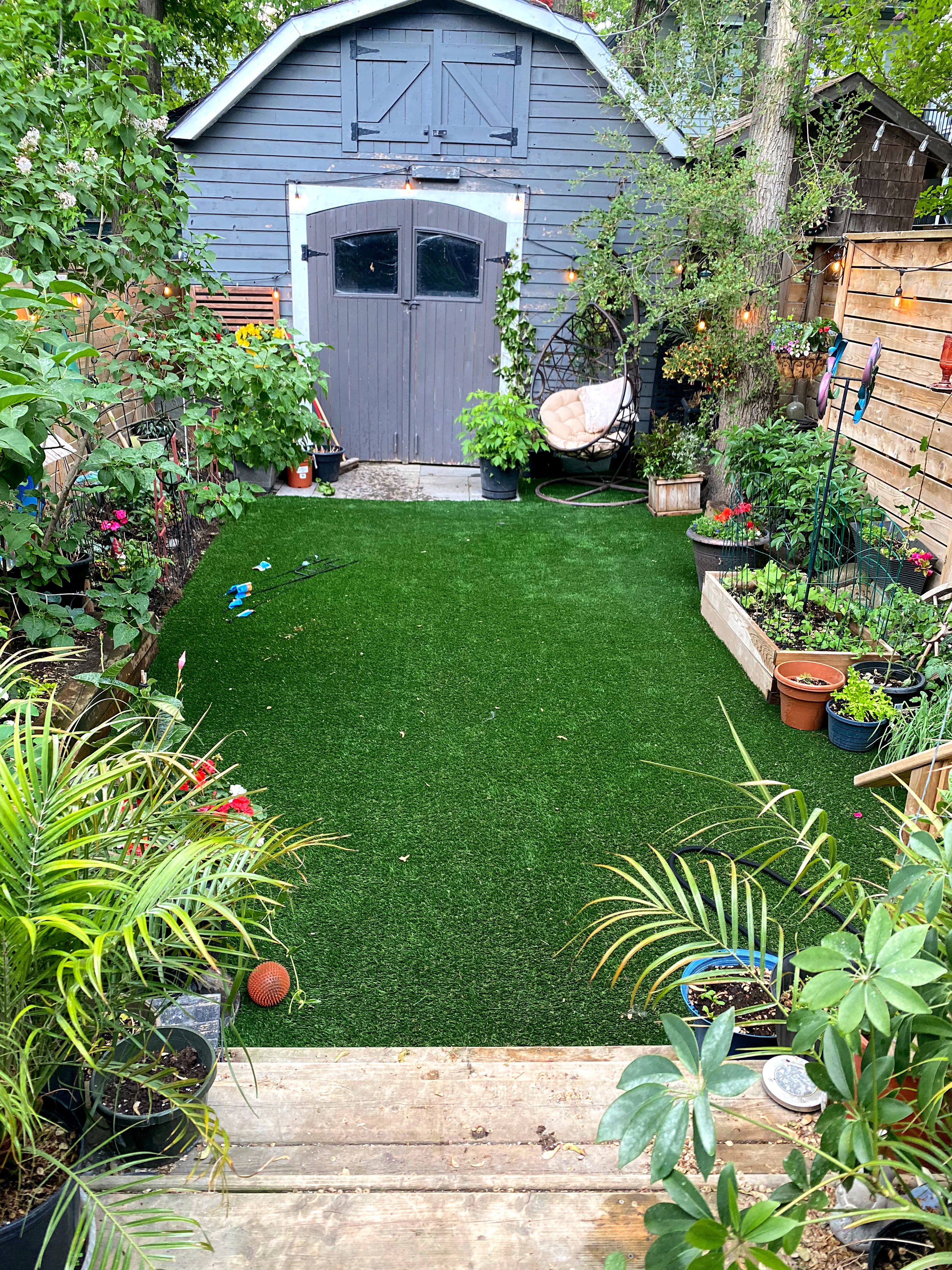 dog backyard synthetic turf grass
