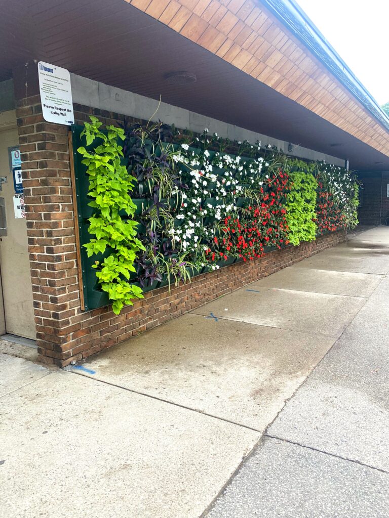 woofwalk challenge update living wall