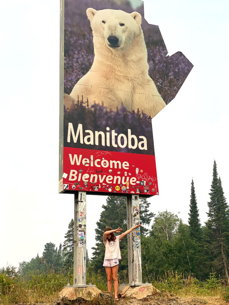 road trip without pets