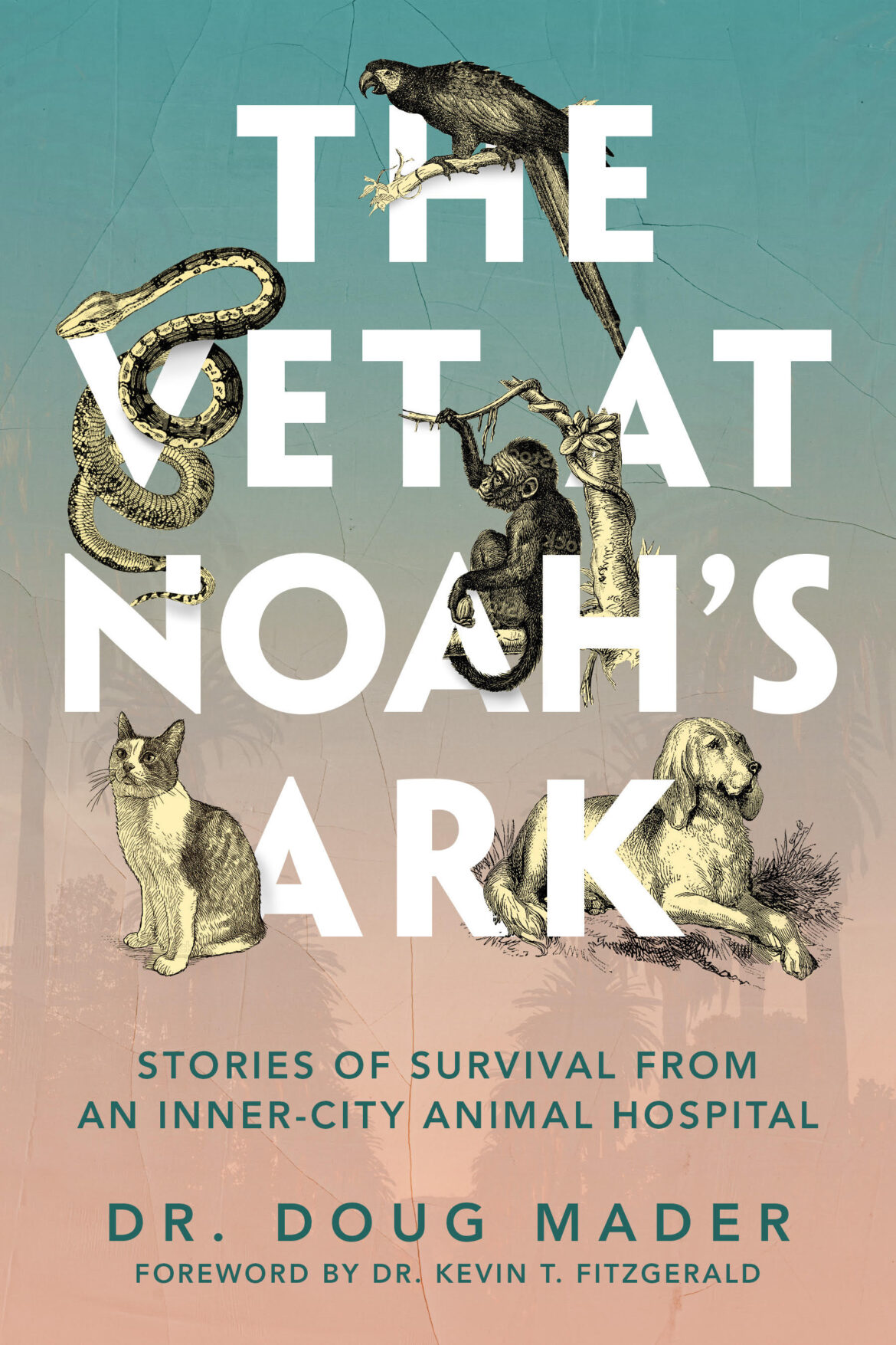 The Vet At Noah's Ark Book Cover