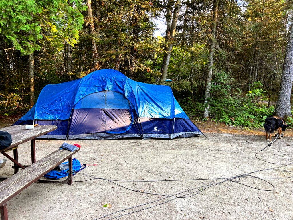 New 12 person tent camping with dogs