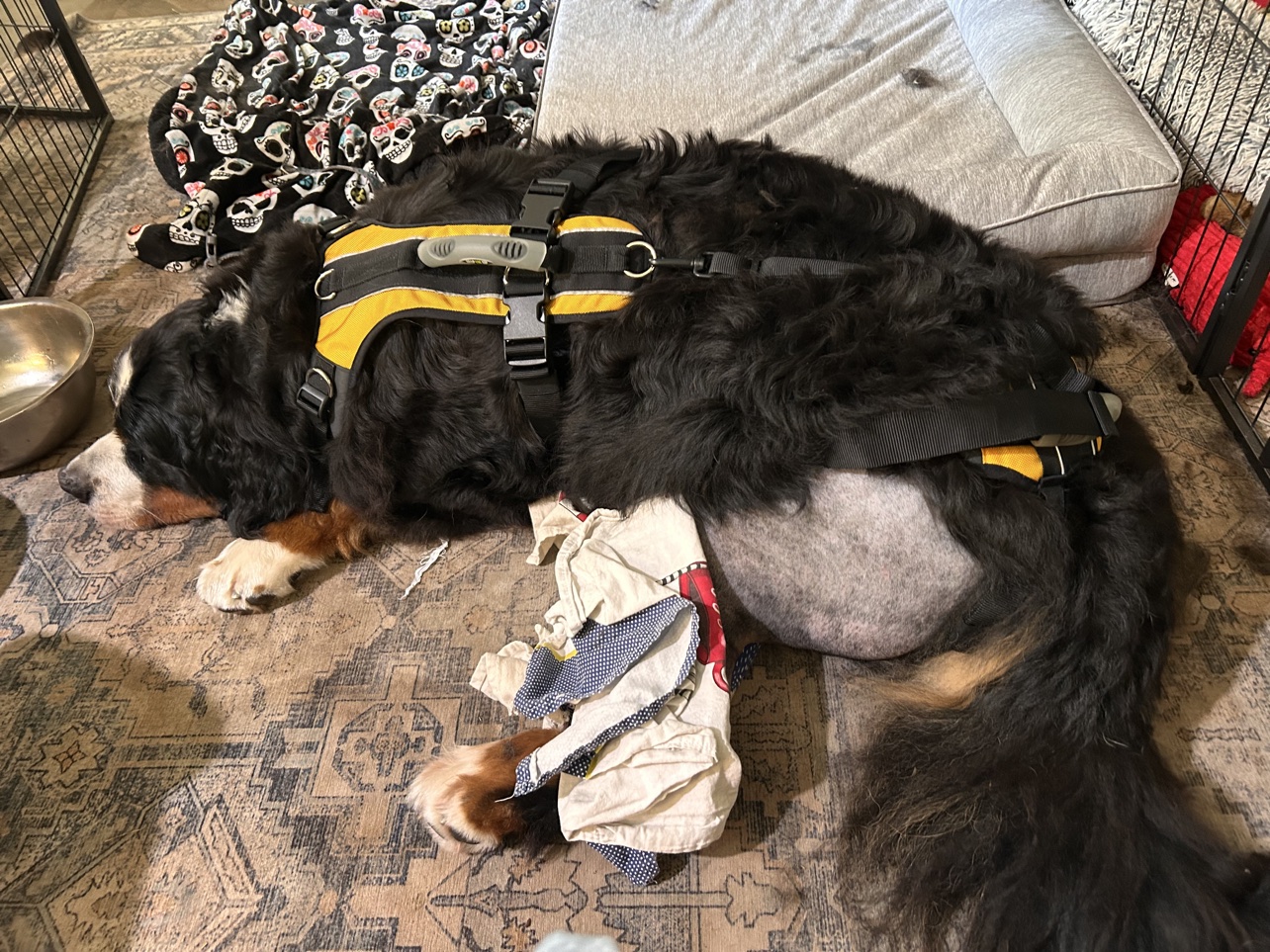 benson-harness-icing