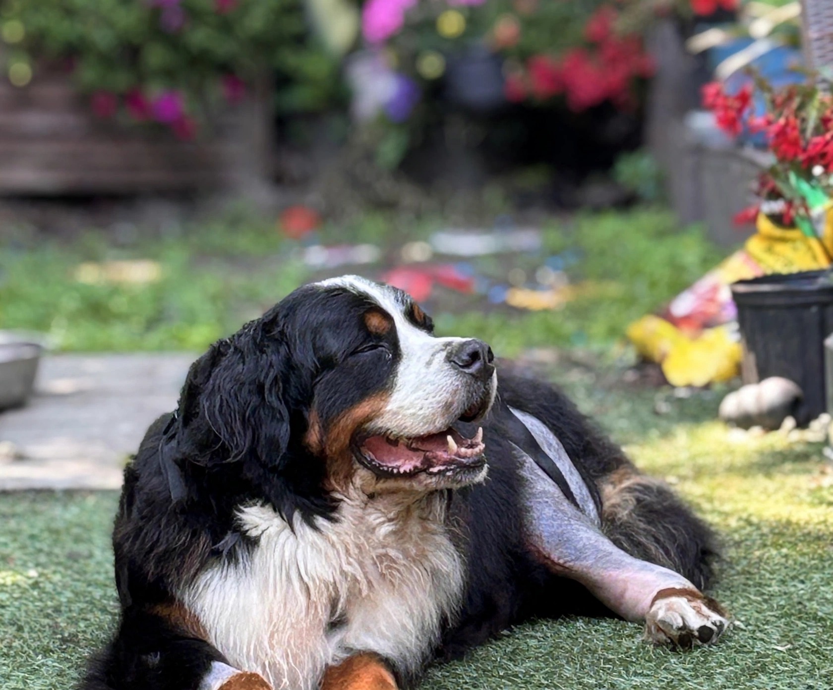 benson-smiling-garden